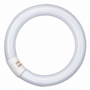 Люминесцентная лампа кольцевая Osram L 22 W/840 C T9 G10q, 216mm